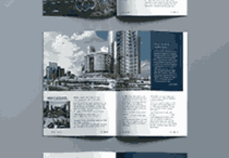 Gemini_Generated_Image_xr20bgxr20bgxr20_24_11zon